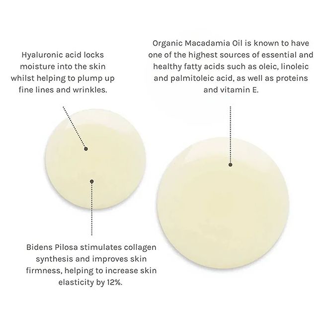 Huile corps bio au rétinol Timeless Renewal Evolve Beauty