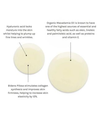 Huile corps au bio-rétinol Timeless Renewal - 100 ml