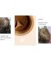 Golden Hazelnut Plant-Based Hair Dye - Connivence Lab I MonCornerB