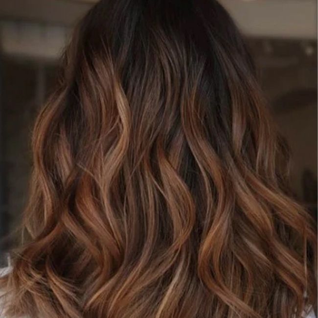 Coloration Végétale noisette naturel Connivence Lab