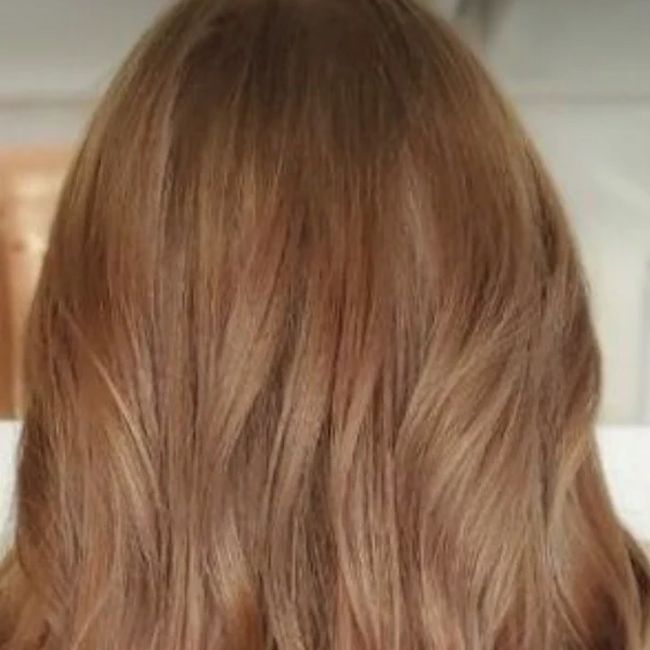 Cocoa Plant-Based Hair Dye - Connivence Lab I MonCornerB