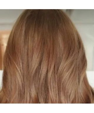 Coloration végétale Cacao - 100 g