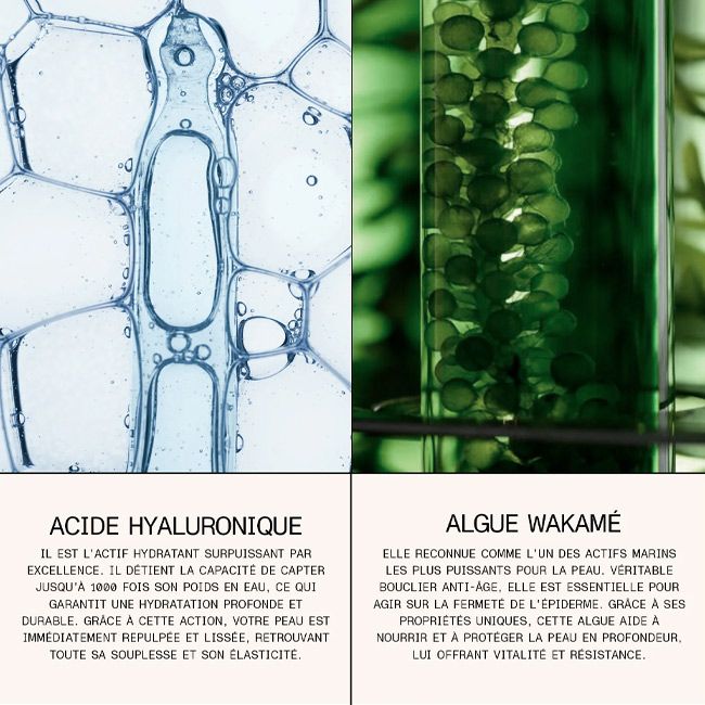 Regenerating Lip Serum - Eclo I MonCornerB