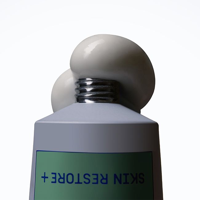 Crème visage naturelle riche Skin Restore  + Mimétique