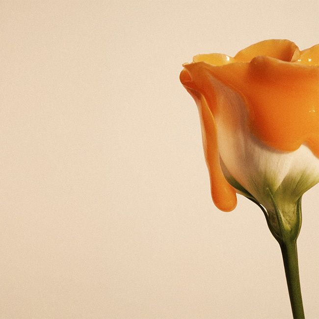 Masque visage naturel Velours Régénérant Nüssa