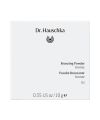 Bronzer poudre Dr Hauschka