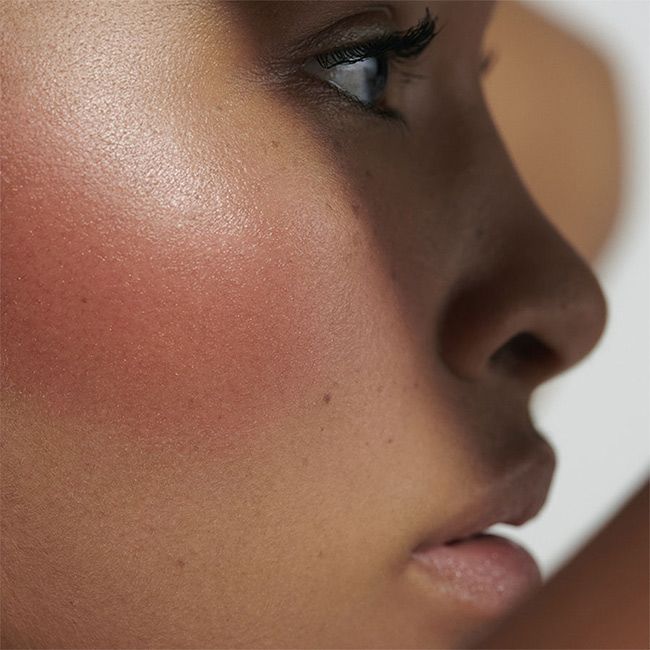 Baume stick lèvres et joues Dr Hauschka