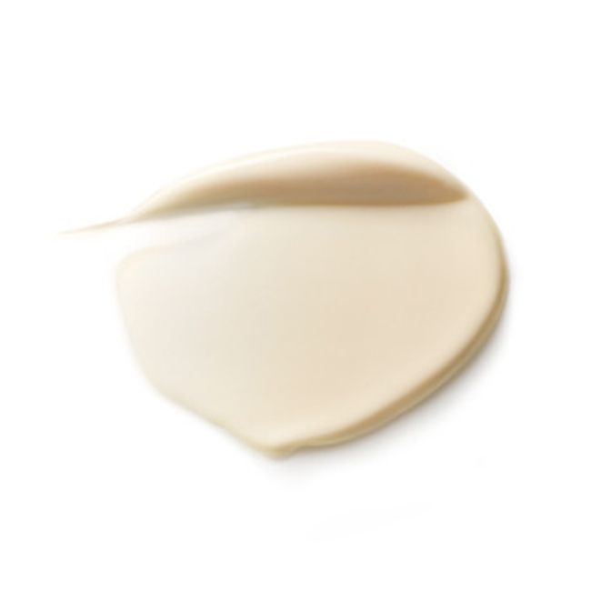 Regenerating Day Cream - Dr. Hauschka | MonCornerB