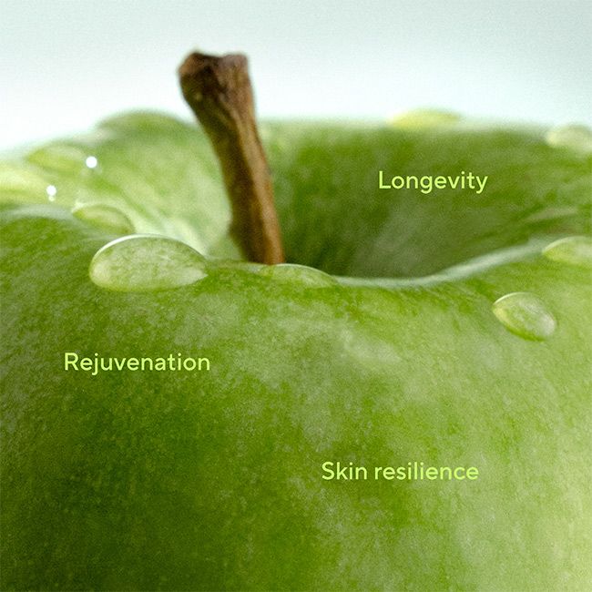 Sérum visage bio éclat péptides Exosome Logenvity Mádara