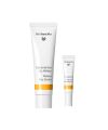 Coffret soin duo crème de jour à la mélisse émulsion teintée offerte Dr Hauschka