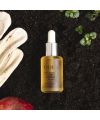 Apple Botanical Oil – Oden | MonCornerB