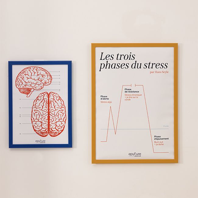 Compléments alimentaire anti-stress gélules cure équilibre cortisol Epycure