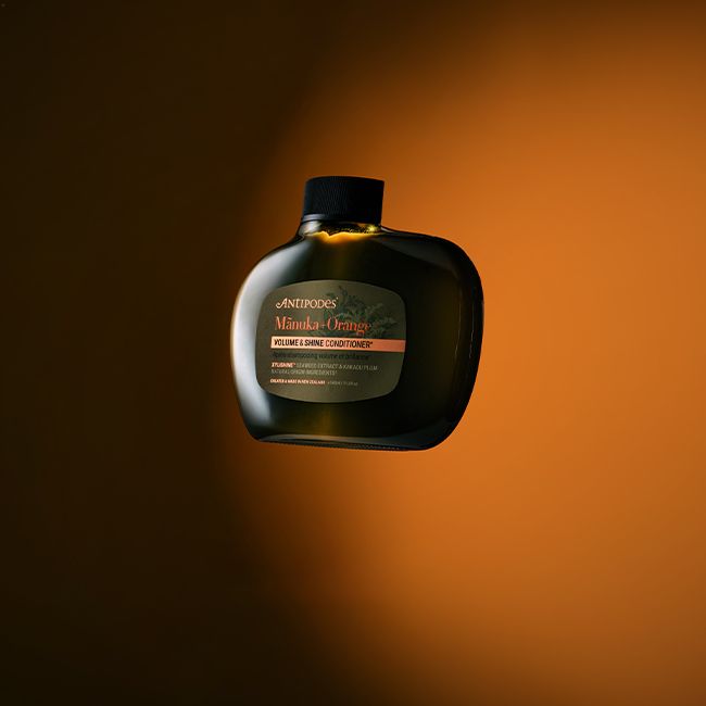 Mānuka and Orange Volume & Shine Conditioner – Antipodes | MonCornerB