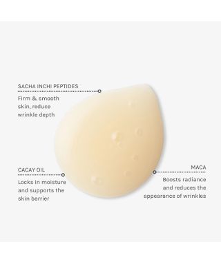 Sérum Peptides 360 - 30 ml