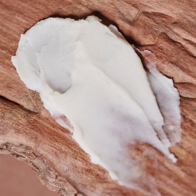 Baume naturel universel des Dieux Théobroma