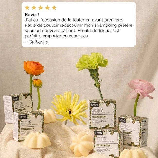 Rhubarbe & Sésame Solid Shampoo – Umaï | MonCornerB