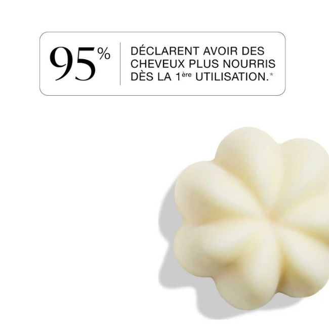 Rhubarbe & Sésame Solid Shampoo – Umaï | MonCornerB
