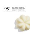 Rhubarbe & Sésame Solid Shampoo – Umaï | MonCornerB
