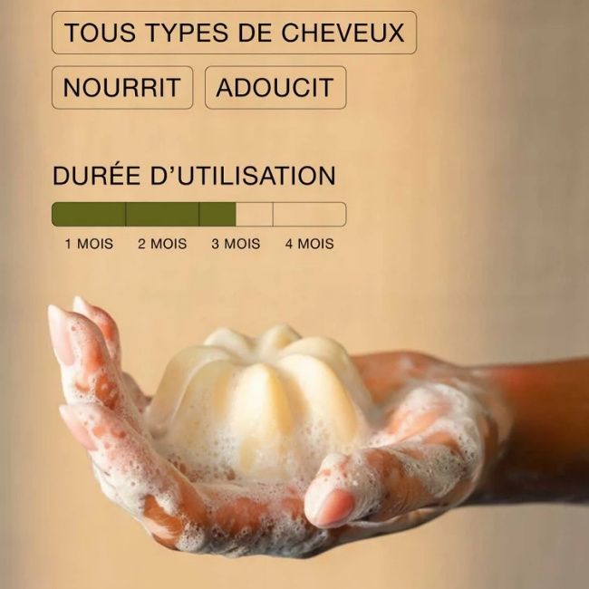 Rhubarbe & Sésame Solid Shampoo – Umaï | MonCornerB