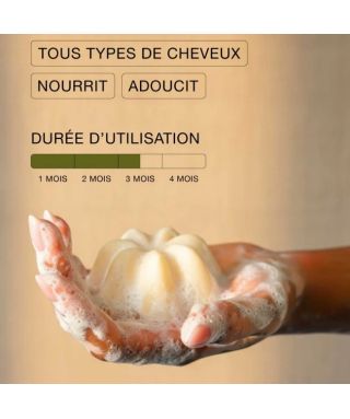Rhubarbe & Sésame Solid Shampoo – 50 g