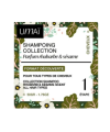 Rhubarbe & Sésame Solid Shampoo – Umaï | MonCornerB