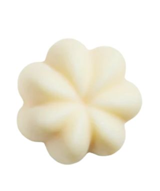 Rhubarbe & Sésame Solid Shampoo – 50 g