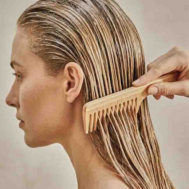 Organic seed hair treatment Whamisa