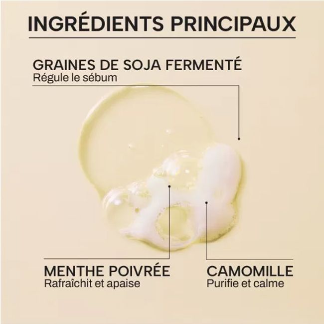 Shampoing cheveux gras aux graines bio fermentées Whamisa