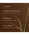 Aloe Pure Kiki Health
