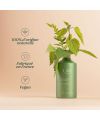 Shampoing bio purifiant Lao Care