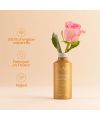 Crème Capillaire Régénérante – Lao Care | MonCornerB