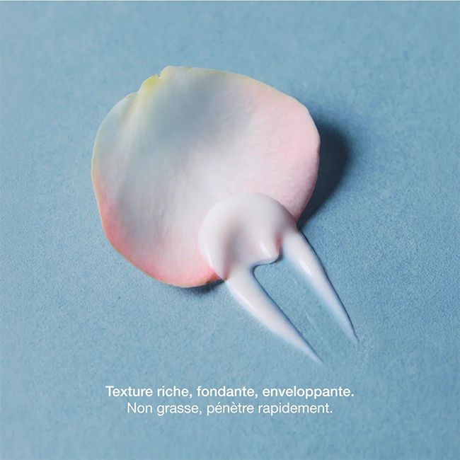 Crème visage bio repulpante Oden