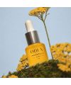 Immortelle Oil – Oden | MonCornerB