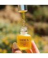Immortelle Oil – Oden | MonCornerB