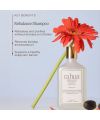 Rebalance Shampoo – Rahua | MonCornerB