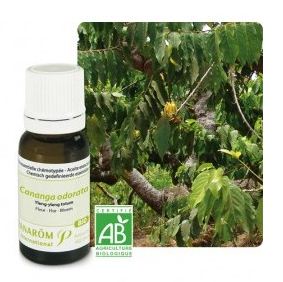 Huile essentielle d'ylang ylang totum bio