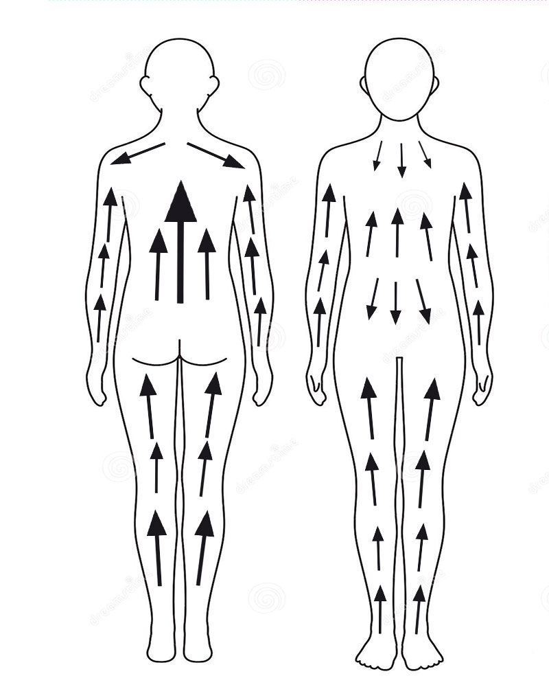 Brossage à sec et lavis — Wikipédia