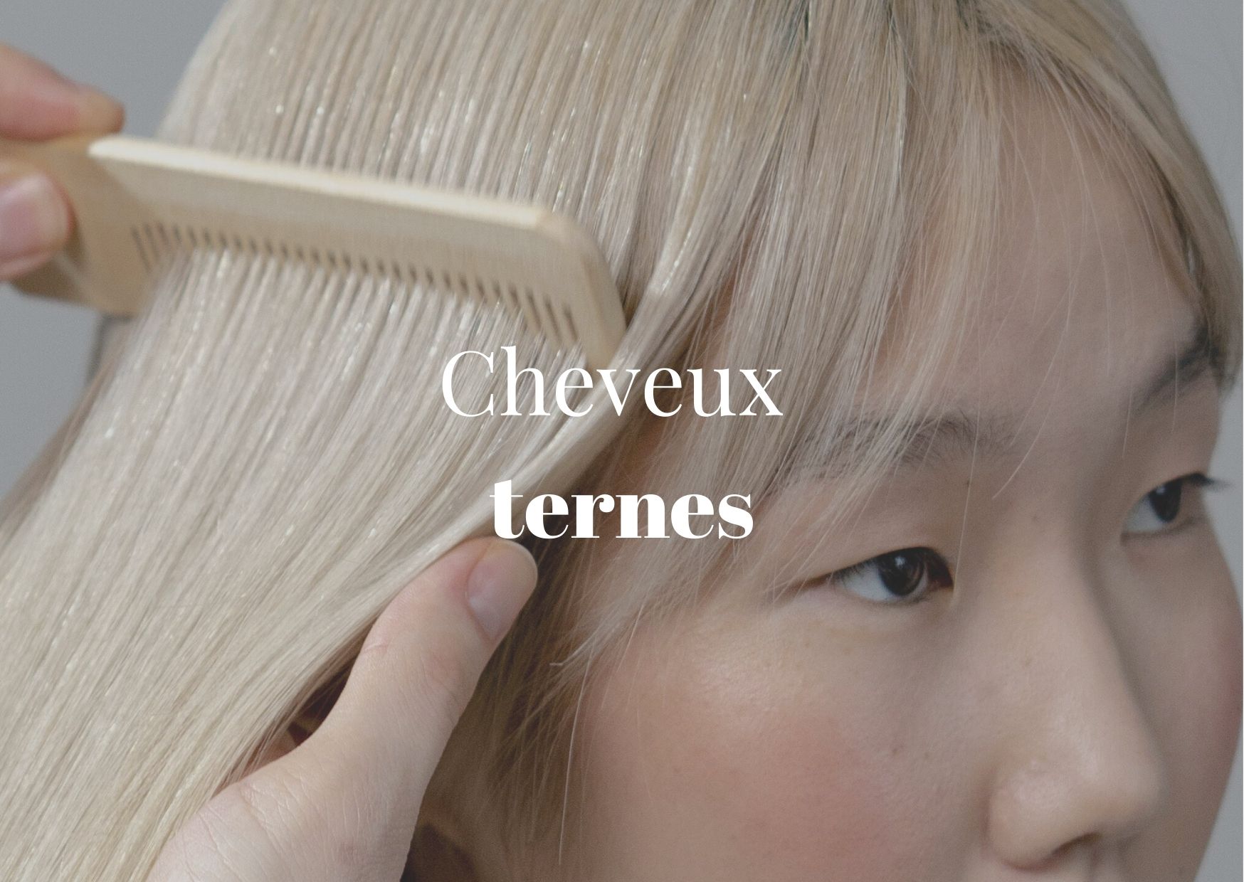 Routine Cheveux Ternes