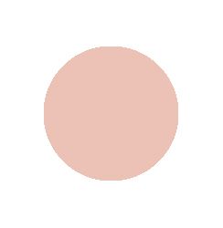 Pale Rose