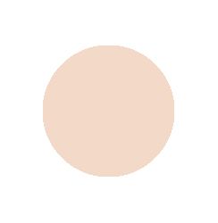 Very Light Neutral 10