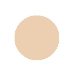 Light Neutral Warm 14