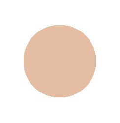 Light Medium Neutral Warm 20