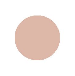 Light Medium Neutral 21