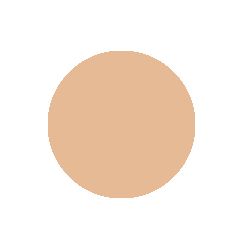 Medium Neutral Olive 22