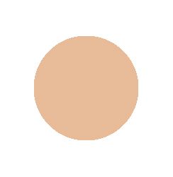 Medium Neutral 23